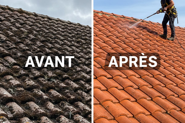 Nettoyage et traitement antimousse de toiture